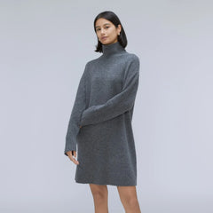 The Cozy Stretch Turtleneck Dress | Marin